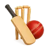 Cricket